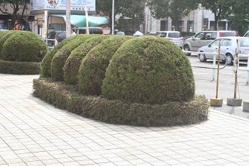 佐賀駅前